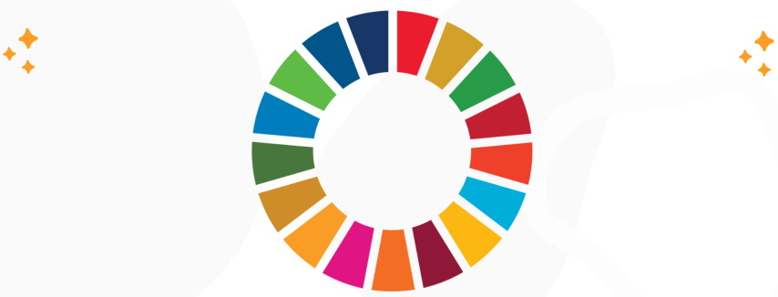 SDG Wheel for data