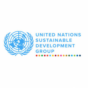 UN Sustainable Development Group logo