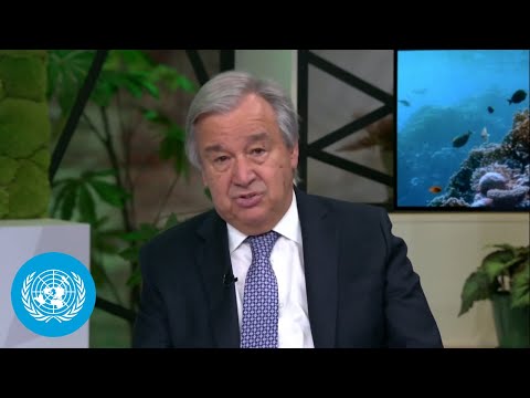 UN Chief on World Oceans Day: 'Climate Change, Biodiversity Loss and Pollution threaten our Oceans'