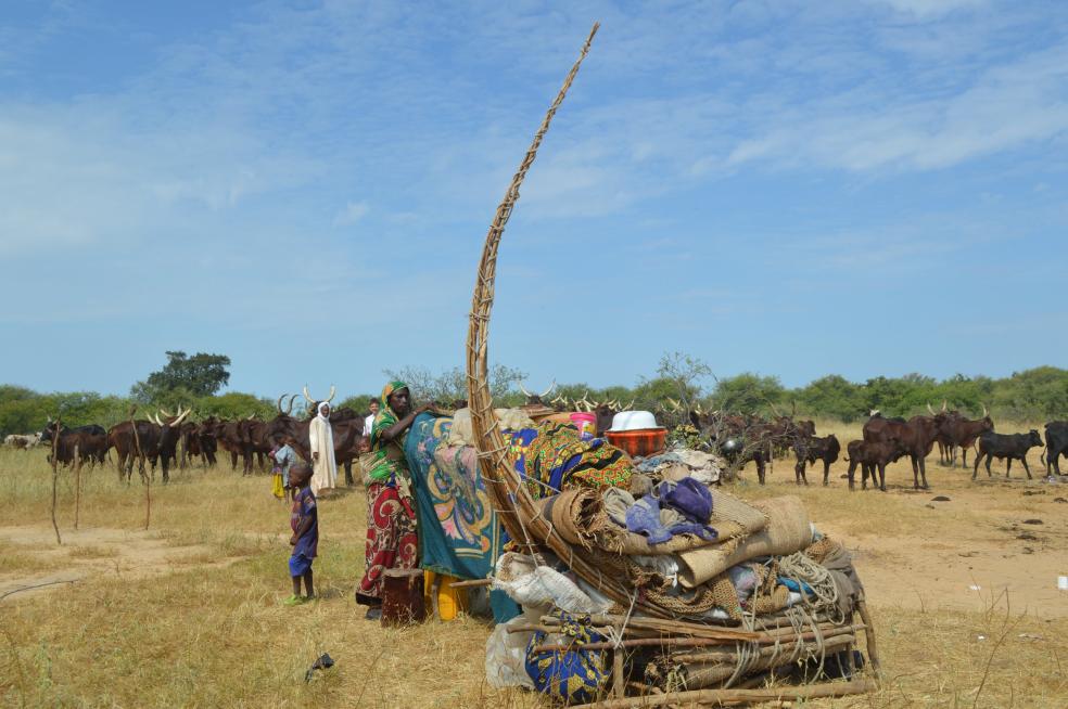 The Sahel. Photo courtesy of AFPAT