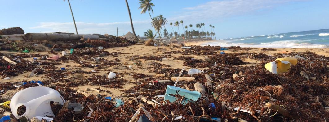 Cover photo for Ocean Plastics Report