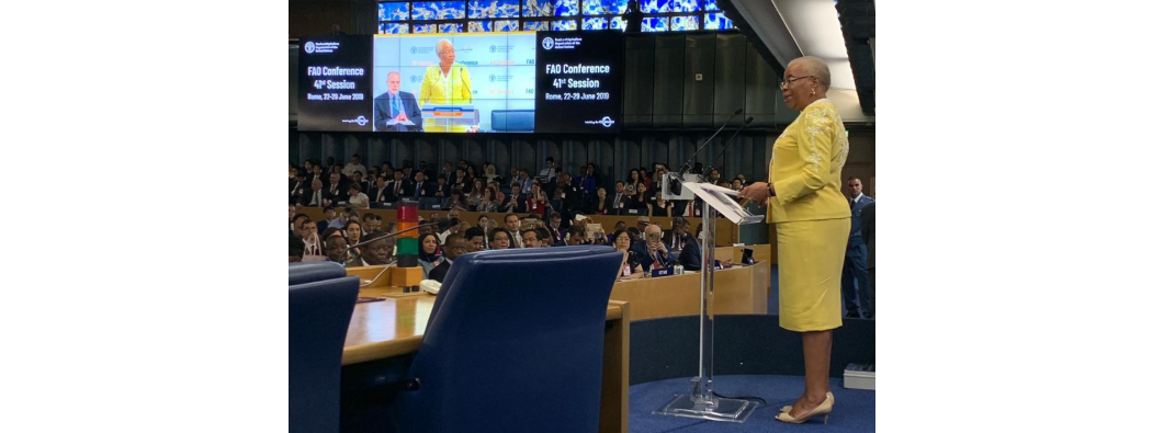 Graça Machel delivers the McDougall Memorial Lecture on 22 July: the first day of the 41st Session of the Food and Agriculture Organization’s annual Conference. Her speech was titled “Migration, Agriculture, and Rural Development.”