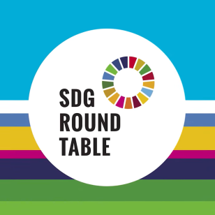 Photo of SDG Round Table