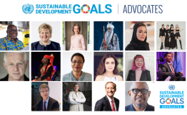 SDG Advocates